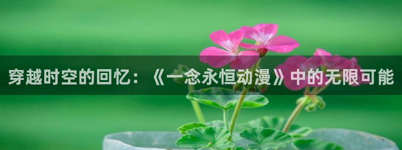 里番动漫是什么?：穿越时空的回忆：《一念永恒动漫》中的无限可能