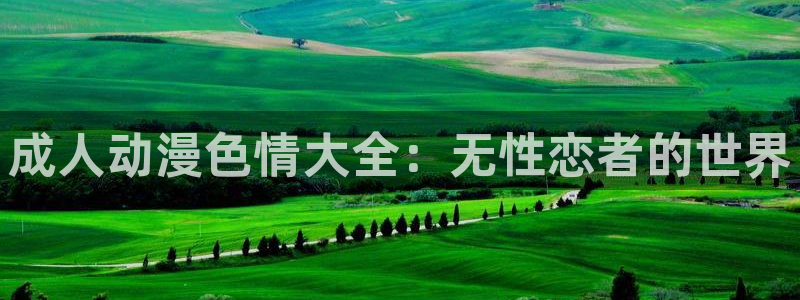 漫画工口里番：成人动漫色情大全：无性恋者的世界